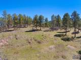 TBD Lot 136 Lone Elk - Photo 3
