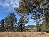 TBD Crook Mountain Rd - Photo 13