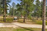12354 Tin Cup Trail - Photo 26
