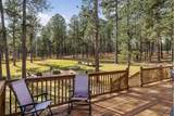 12354 Tin Cup Trail - Photo 29