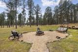 12354 Tin Cup Trail - Photo 37