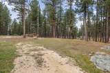12354 Tin Cup Trail - Photo 39