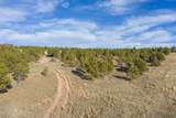 TBD South Park Dr - Photo 10