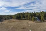TBD South Park Dr - Photo 13