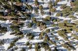 Lot 8 Trailside Loop - Photo 20
