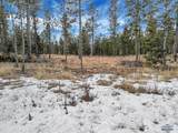 TBD Lofty Pines Ct - Photo 15