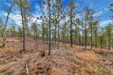 TBD Lofty Pines Ct - Photo 2