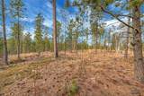 TBD Lofty Pines Ct - Photo 3
