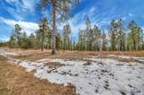 TBD Lofty Pines Ct - Photo 6