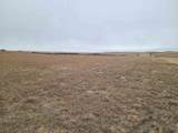TBD High Bluff Dr - Photo 3