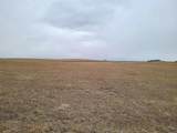 TBD High Bluff Dr - Photo 4
