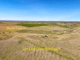 TBD High Bluff Dr - Photo 3