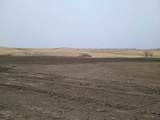 TBD High Bluff Dr - Photo 4