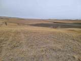 TBD High Bluff Dr - Photo 7