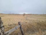 TBD High Bluff Dr - Photo 3