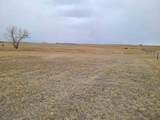 TBD High Bluff Dr - Photo 7
