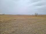 TBD High Bluff Dr - Photo 8