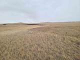 TBD High Bluff Dr - Photo 10