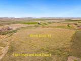 TBD High Bluff Dr - Photo 4