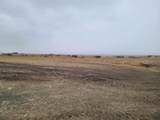 TBD High Bluff Dr - Photo 6