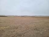 TBD High Bluff Dr - Photo 9