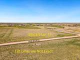 TBD High Bluff Dr - Photo 2