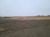 TBD High Bluff Dr - Photo 5