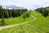 231.68 Acres White Forest Rd - Photo 1