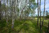 231.68 Acres White Forest Rd - Photo 10