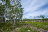 231.68 Acres White Forest Rd - Photo 11