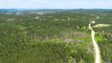 231.68 Acres White Forest Rd - Photo 12