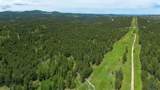 231.68 Acres White Forest Rd - Photo 13