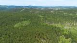 231.68 Acres White Forest Rd - Photo 14