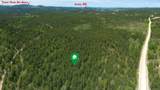 231.68 Acres White Forest Rd - Photo 15