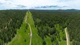 231.68 Acres White Forest Rd - Photo 16
