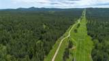 231.68 Acres White Forest Rd - Photo 17