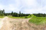 231.68 Acres White Forest Rd - Photo 18