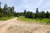 231.68 Acres White Forest Rd - Photo 19