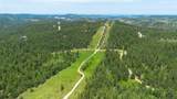 231.68 Acres White Forest Rd - Photo 2