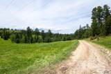231.68 Acres White Forest Rd - Photo 20