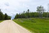 231.68 Acres White Forest Rd - Photo 21