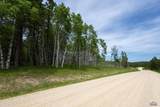 231.68 Acres White Forest Rd - Photo 22