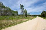 231.68 Acres White Forest Rd - Photo 24