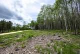 231.68 Acres White Forest Rd - Photo 25