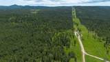 231.68 Acres White Forest Rd - Photo 26