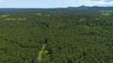 231.68 Acres White Forest Rd - Photo 27