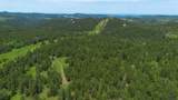 231.68 Acres White Forest Rd - Photo 28