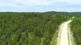 231.68 Acres White Forest Rd - Photo 29