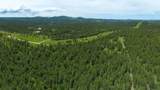 231.68 Acres White Forest Rd - Photo 3