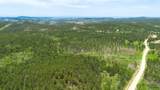 231.68 Acres White Forest Rd - Photo 30